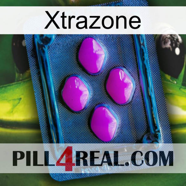 Xtrazone 04.jpg